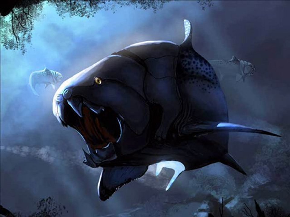 How Much Is The Fish - Dj. Muzetti (Rmx)