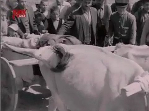 Kizgin Delikanli -8- Türkan Soray - Göksel Arsoy