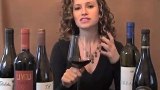 Wine Tasting Guide