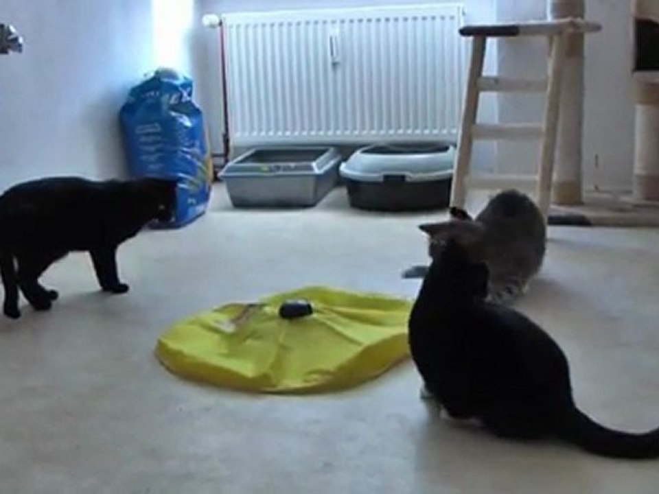 die undercover-maus