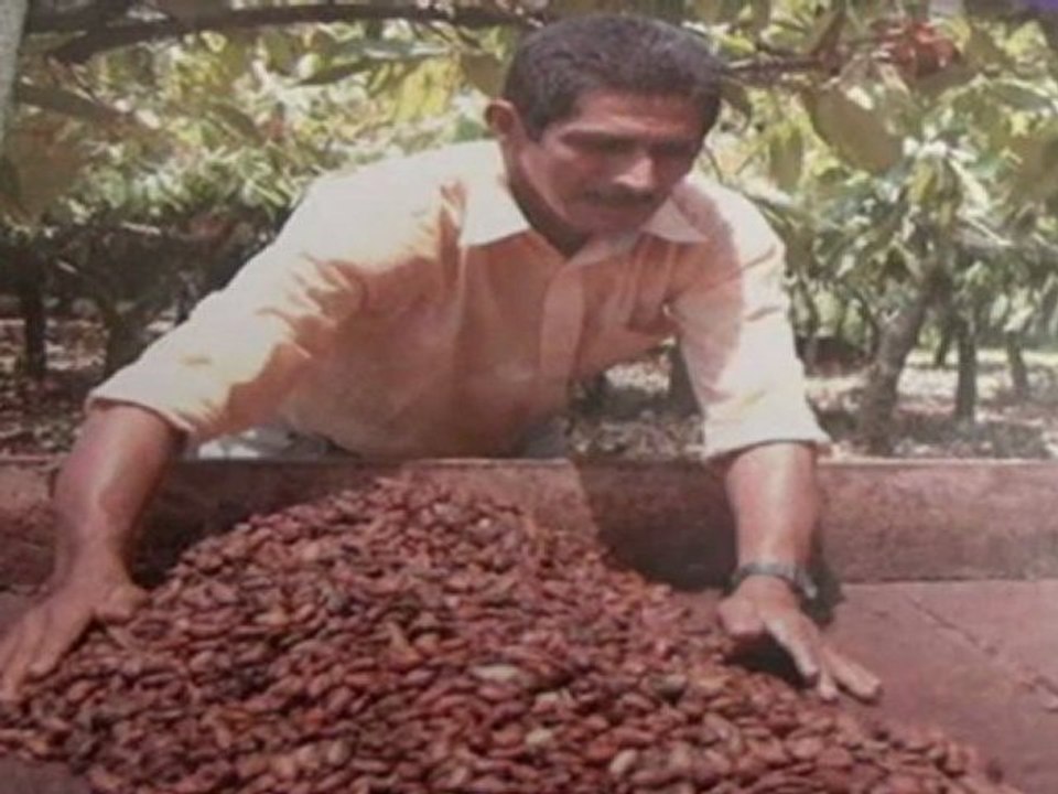 Noticia sobre cacao en noticiero VICA TV