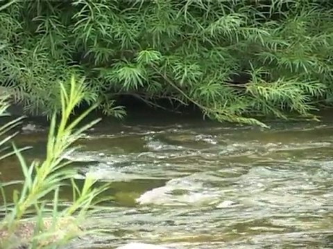 Яна и Сергей