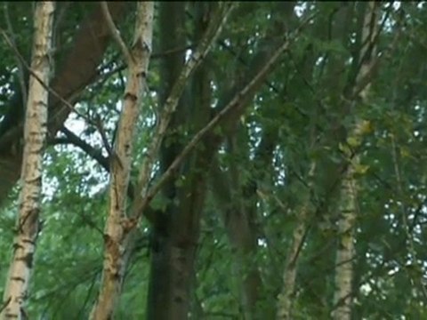 Goenkale (Tatuajedun emakumea)