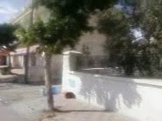 centre ville rajich  mahdia tunisie