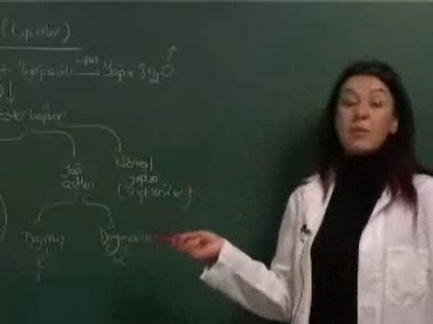 Organik ve İnorganik Bileşikler | eBiyoloji.Org