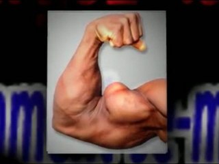 musculation pour les bras