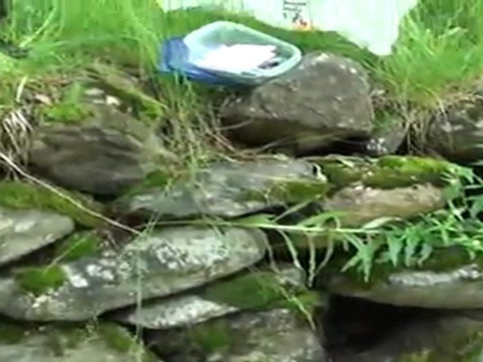 VACANCES 2011 - 17/06 - Arcalis + Ordino