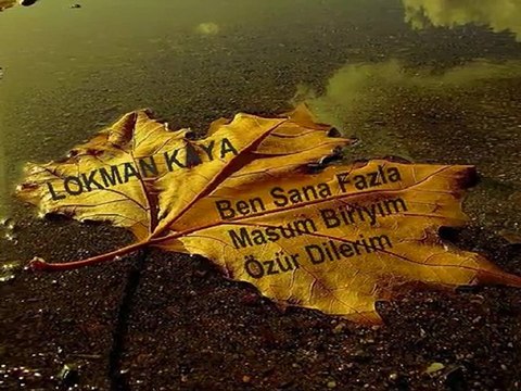 Ben sana fazla masum biriyim özür dilerim - Lokman Kaya