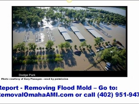 Omaha Mold Removal | Mold Removal Omaha