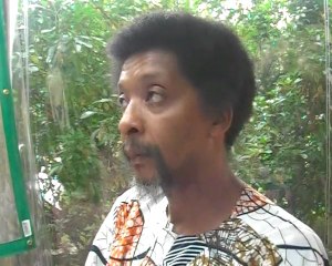 Mamadou, Bineta et le FMI : Impact et Perspectives