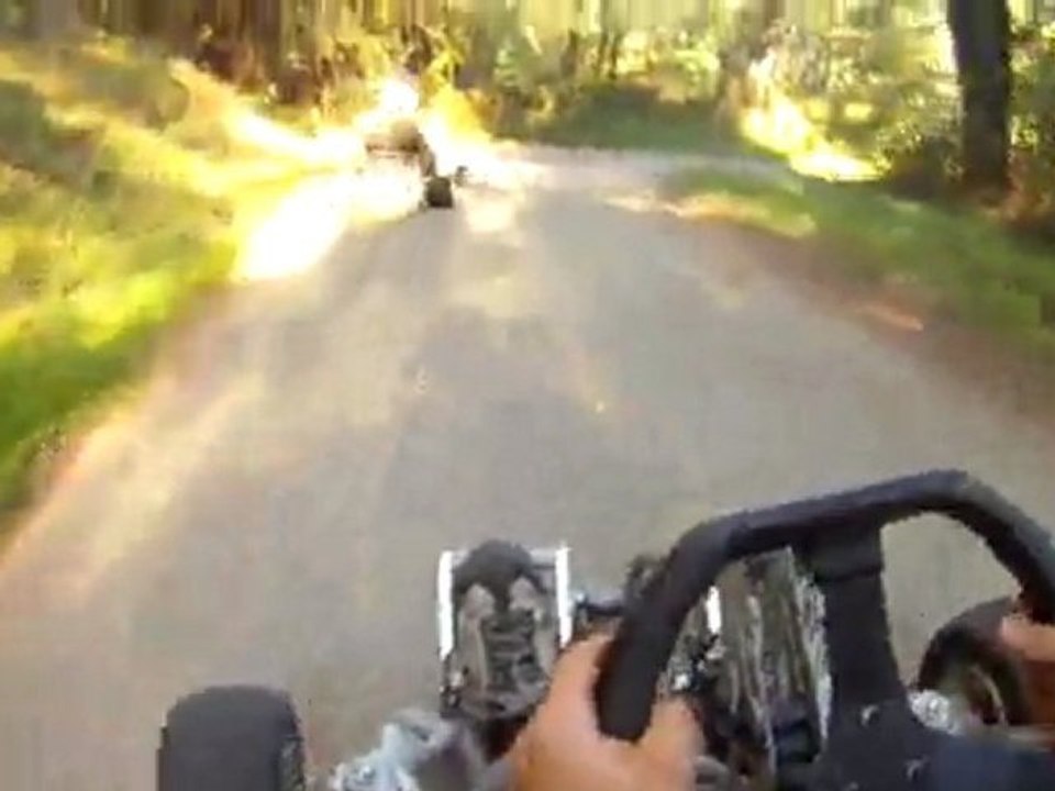 cris kart