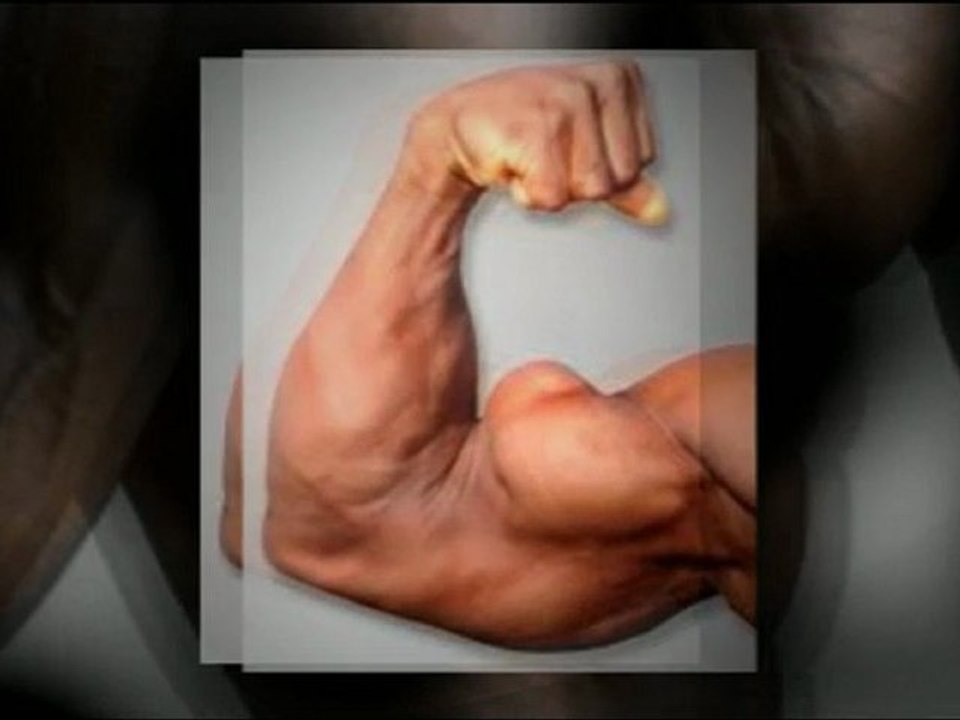 mouvement musculation bras