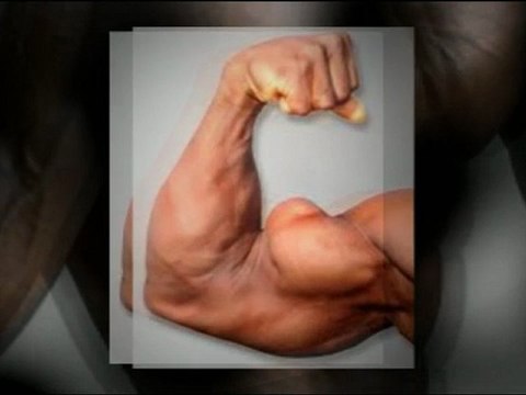 mouvement musculation bras