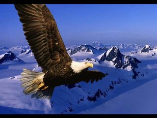 NANCY AMANCIO AGUILA