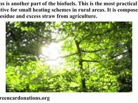 Biofuels | The Myriad Advantages of Using Biofuels