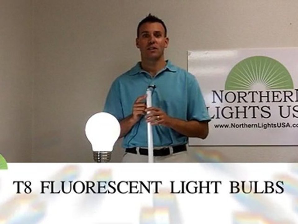 T8 Fluorescent light bulbs