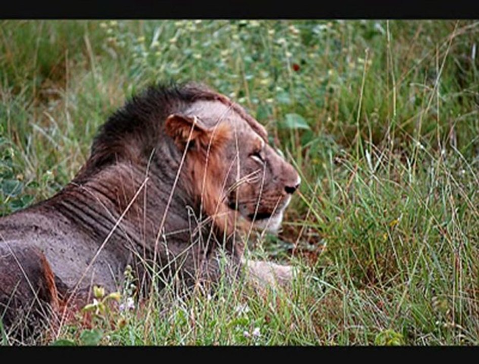 kenya 2010