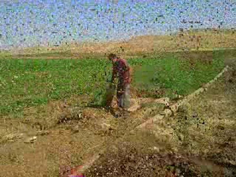 Veysi okay Gitme sevgilim