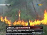 Çanakkale'deki orman yangını köye sıçradı