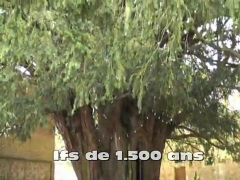 Balade moto normandie 2011