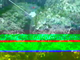 Mon tir d'une murène filmé par Tom