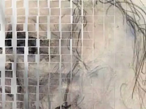 Léo ferré / La solitude