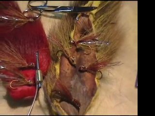 Panorama de Pesca TV 35