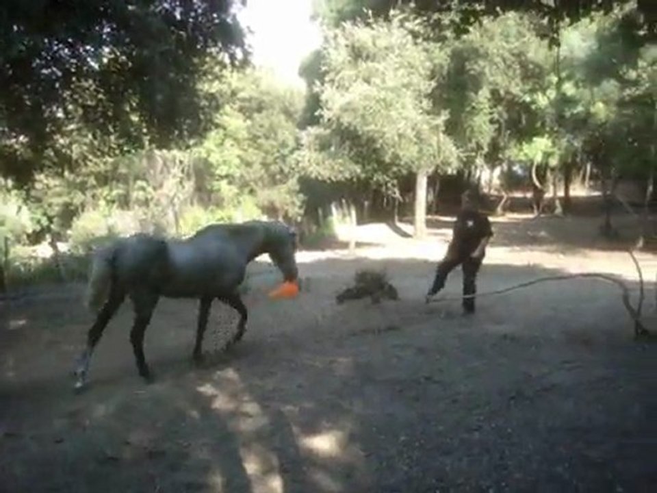 Ramener du cone aquis