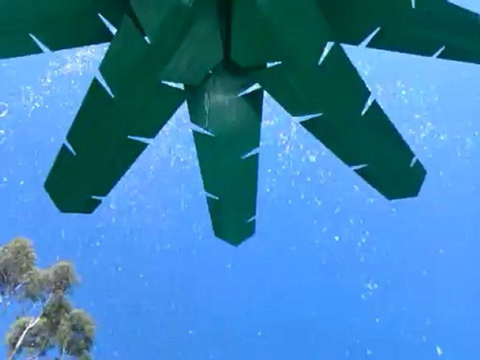 under a tree