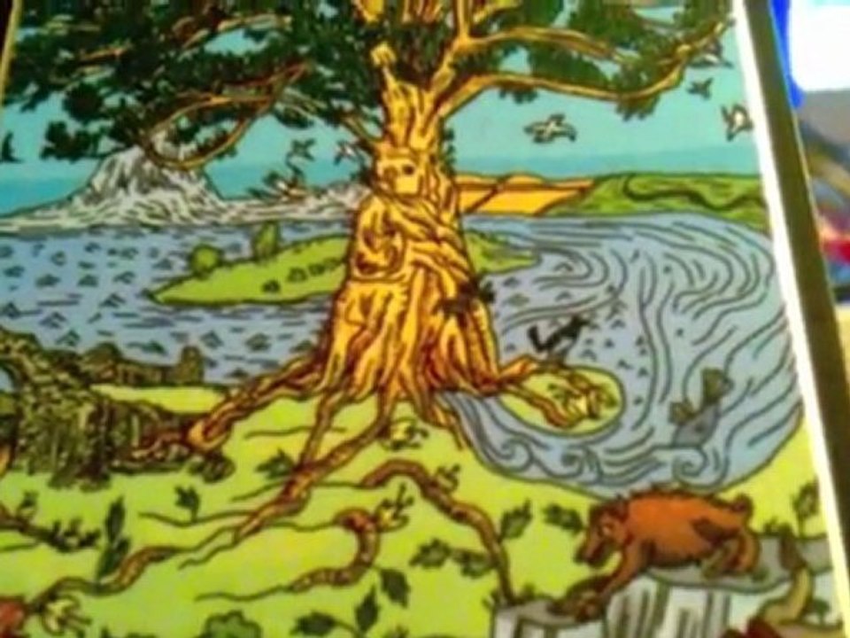 Das Spiel des Phönix (An Leben gewinnen)