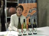 MadFish Grandstand Wines - Introduction