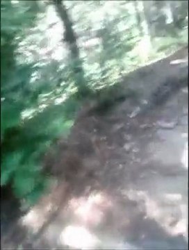 déscente saint géniés 2