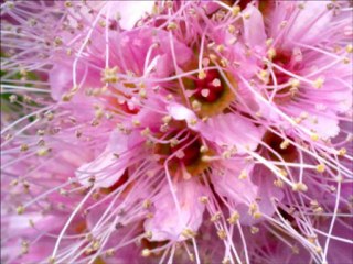 Anthony Que feat Chantelle - Break Up Make Up -