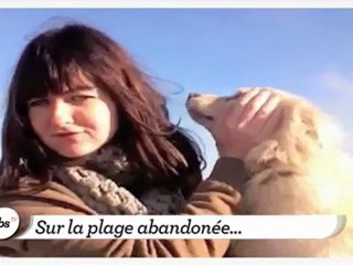 Le zapping de l'été du Nouvel Obs'