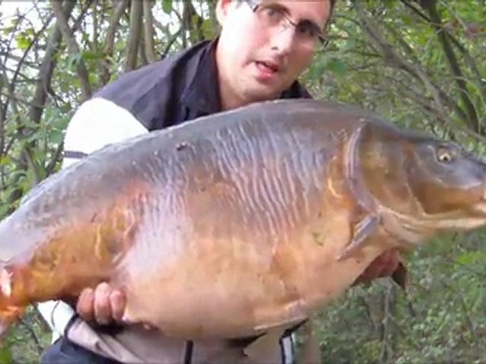carpe20kg aout11