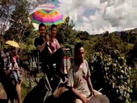 Rasa Comeban - Unicity Triple Diamond