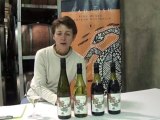 MadFish Grandstand Wines - Introduction