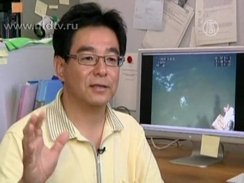 На дне океана нашли трещины после землетрясения