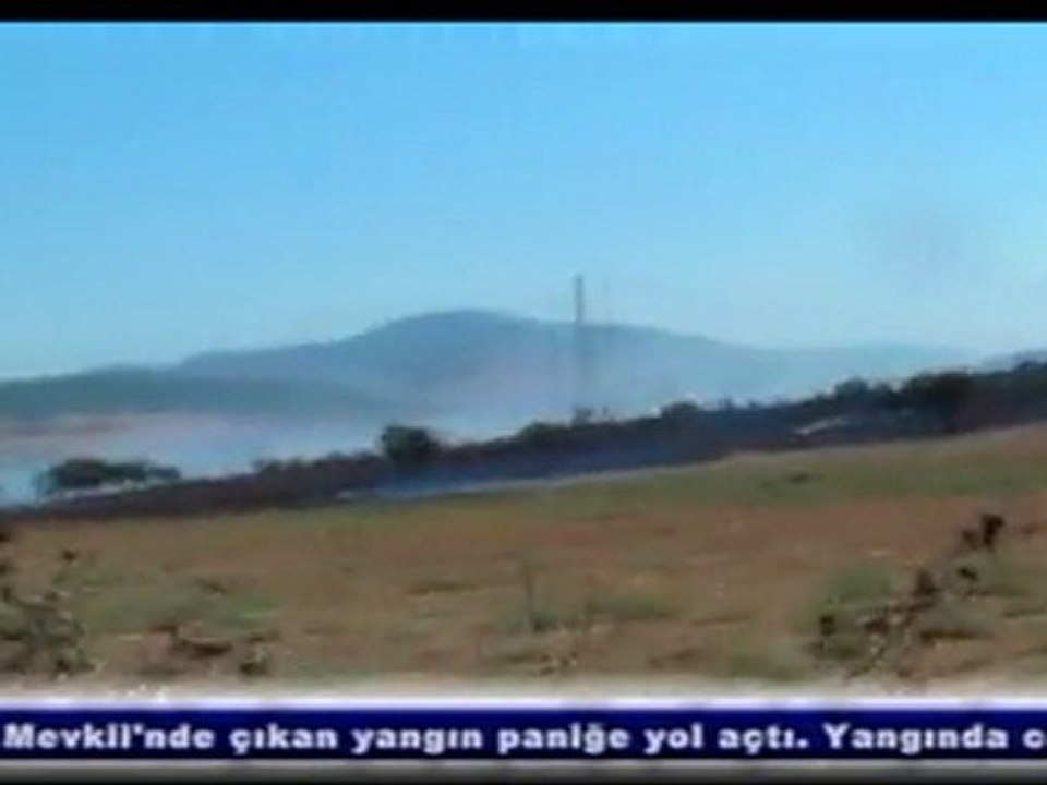 Aliağa Ilıca Mevkii'nde yangın paniği