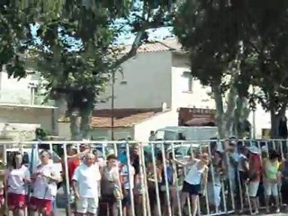 100 taureaux de mauguio