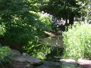 The universal calming effect of water.