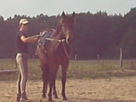 bidouillage aux longues rênes, flexions
