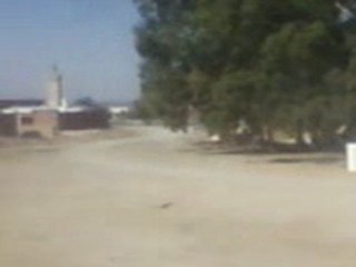 bir salah la hencha sfax tunisie (4)