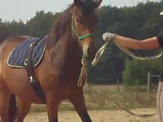 ratage dans le reculer, commenté par Nico