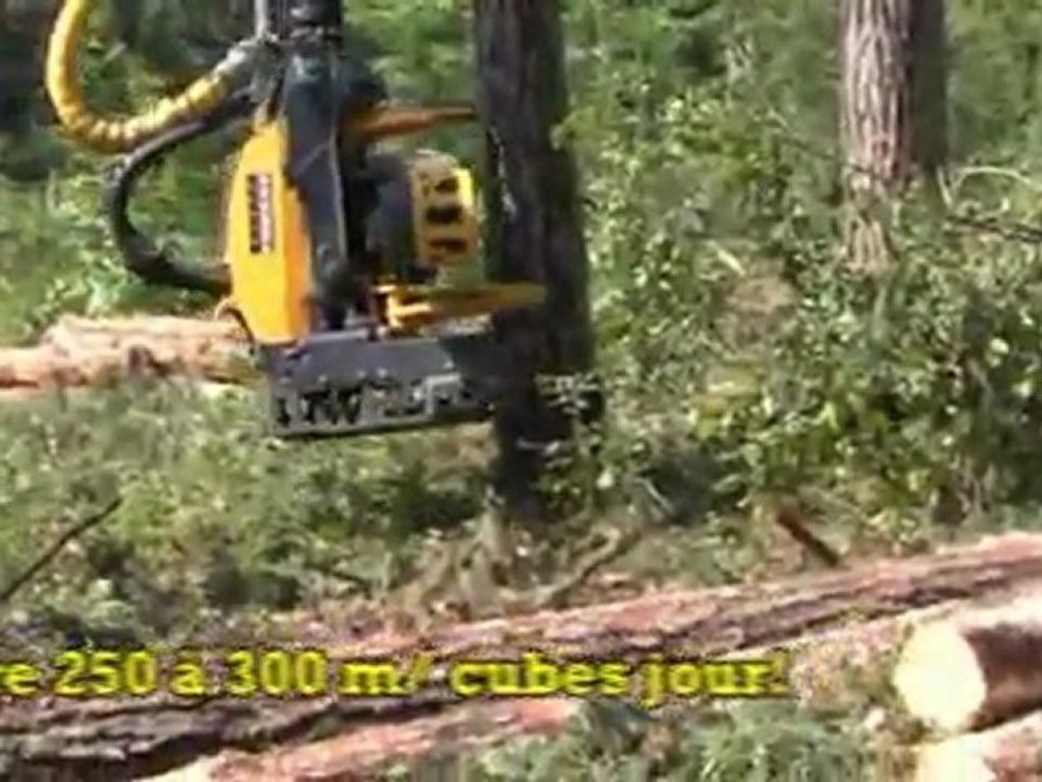 LE BOIS 200 mo