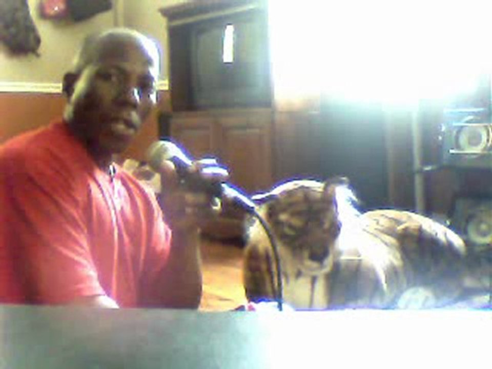 the tiger storie