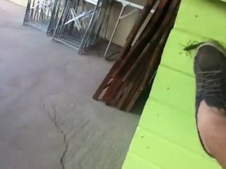 Nos "amies" Les Sauterelles !!