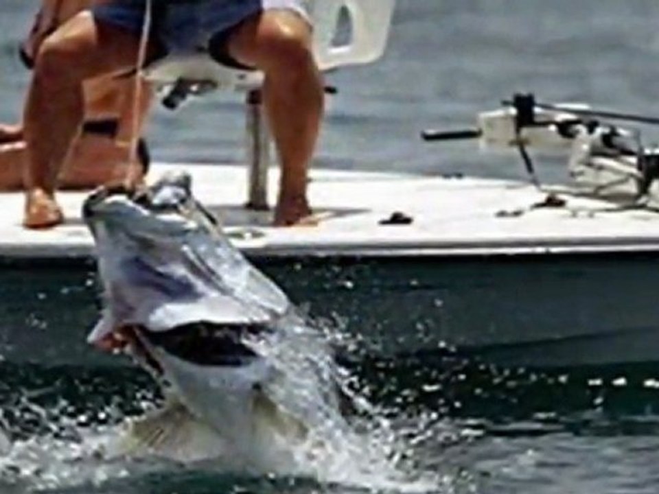 Deep Water Bill