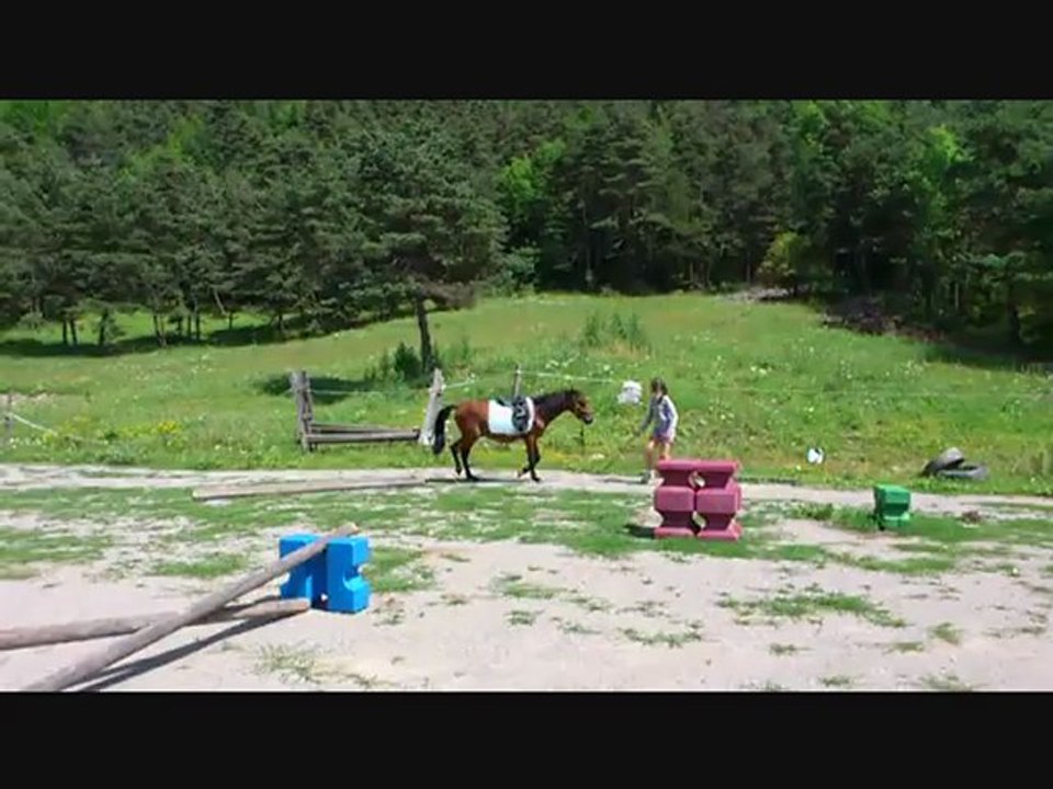 Ultys et Coline, séance d'éthologie