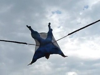 Flying Box Labenne Ocean 2011